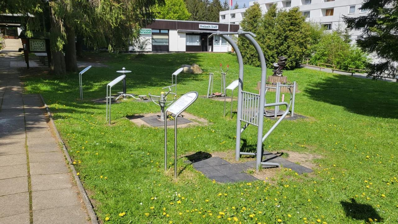 Berghoehe Hahnenklee *